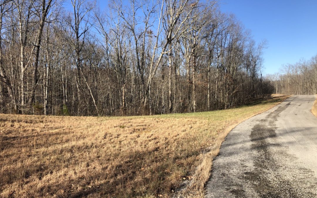 5.61 Wooded Acres Honey Springs Rd